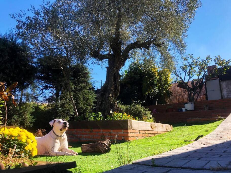 Hormigos Villa Preciosa Con Hermosas Vistas. מראה חיצוני תמונה